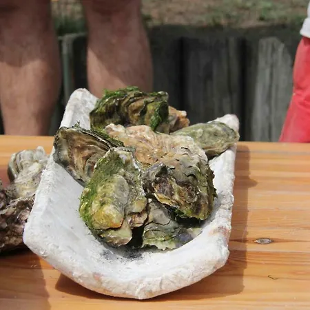 Les Pieds Dans L'eau Апартаменты