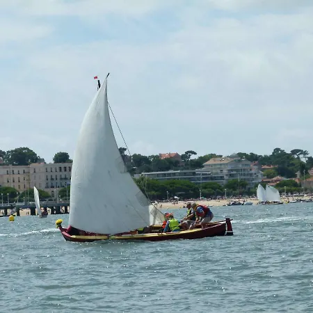 Daire Les Pieds Dans L'eau Arcachon