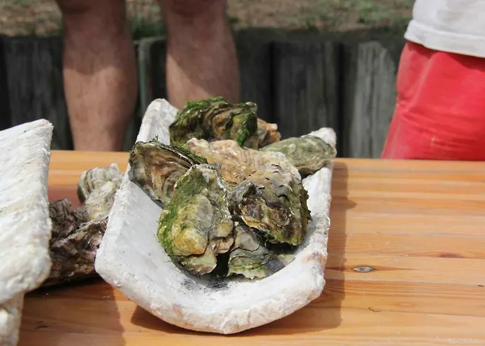 Les Pieds Dans L'eau Apartment